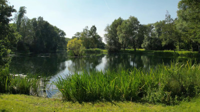 Image of The Mere lake 1